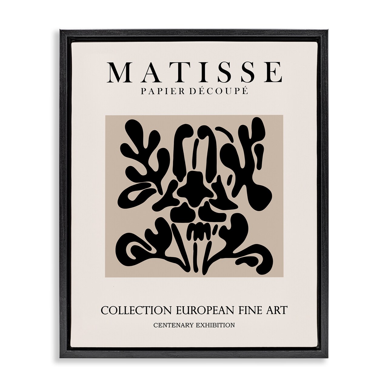 Stupell Industries Abstract Contemporary Black Floral Design Matisse Typography Floating Frame Design By Ros Ruseva